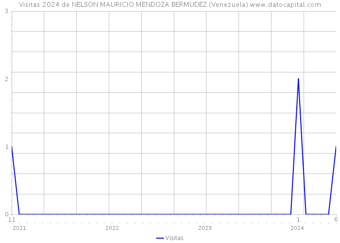 Visitas 2024 de NELSON MAURICIO MENDOZA BERMUDEZ (Venezuela) 