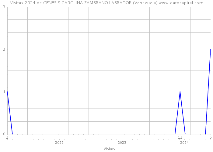 Visitas 2024 de GENESIS CAROLINA ZAMBRANO LABRADOR (Venezuela) 