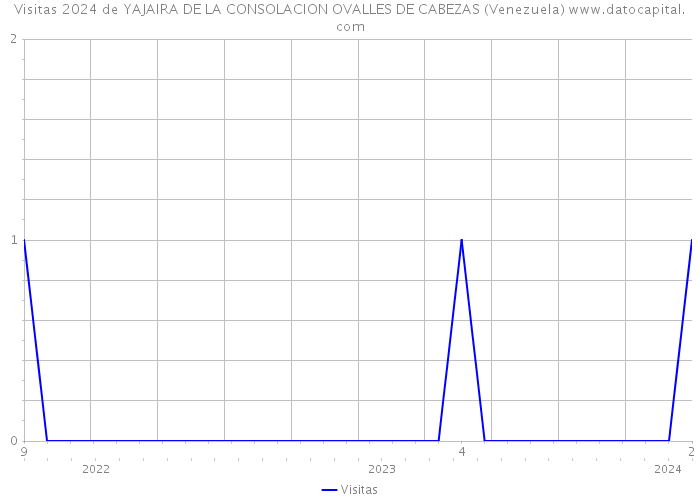 Visitas 2024 de YAJAIRA DE LA CONSOLACION OVALLES DE CABEZAS (Venezuela) 