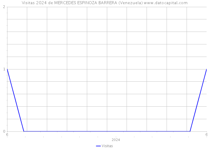 Visitas 2024 de MERCEDES ESPINOZA BARRERA (Venezuela) 