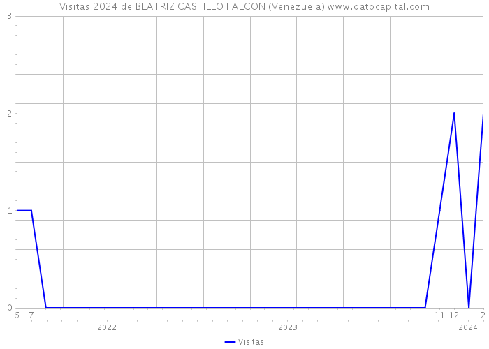 Visitas 2024 de BEATRIZ CASTILLO FALCON (Venezuela) 