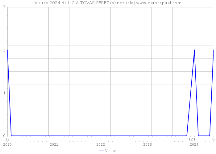 Visitas 2024 de LIGIA TOVAR PEREZ (Venezuela) 