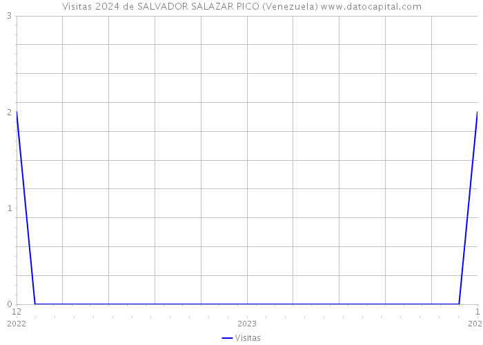 Visitas 2024 de SALVADOR SALAZAR PICO (Venezuela) 