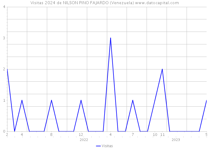 Visitas 2024 de NILSON PINO FAJARDO (Venezuela) 